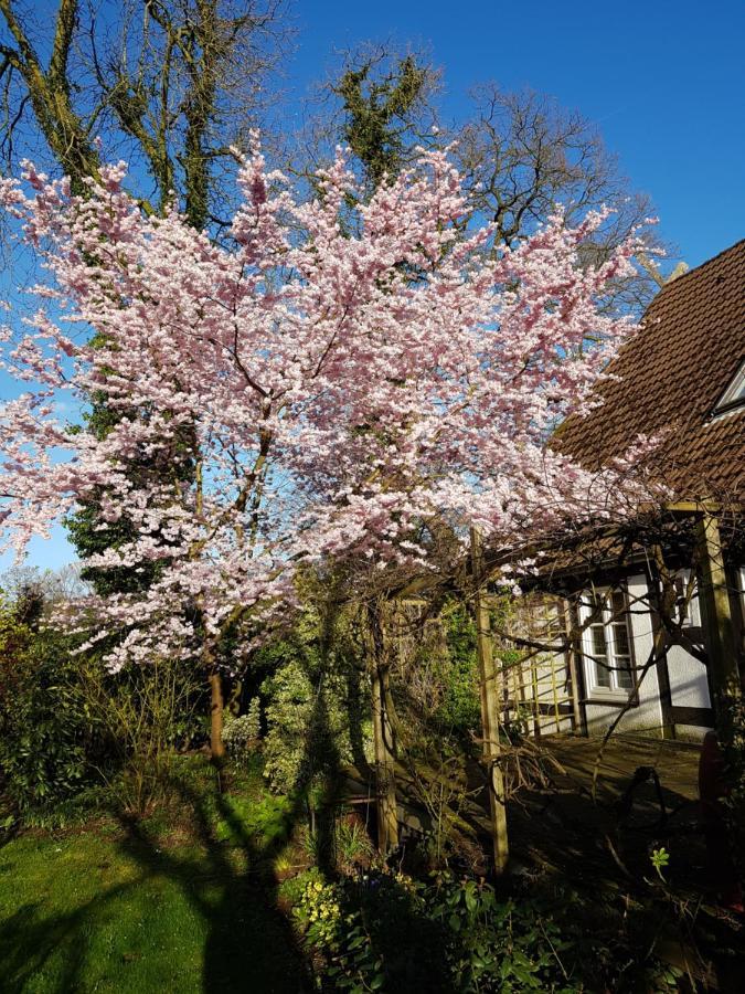 Apartamento Lieblingsplatz Brema Exterior foto